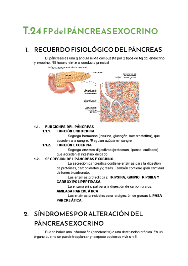 Miniatura del documento T.24-FP-del-PANCREAS-EXOCRINO.pdf