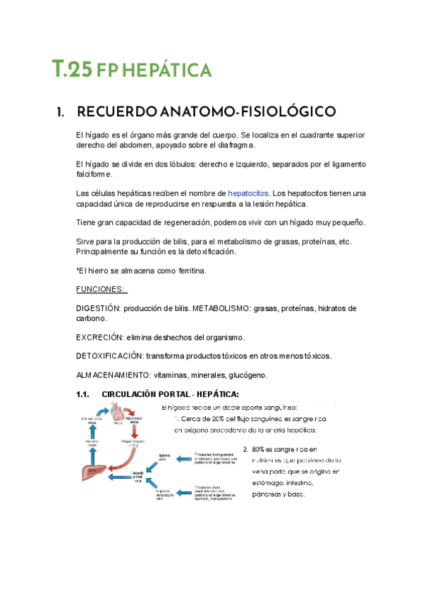 Miniatura del documento T.25-FP-HEPATICA.pdf