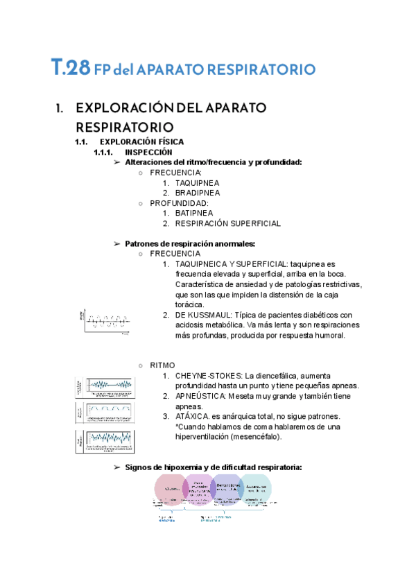 Miniatura del documento T.28-FP-del-AP.-RESPIRATORIO.pdf