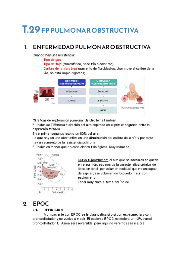 Miniatura del documento T.29-FP-Pulmonar-obstructiva.pdf