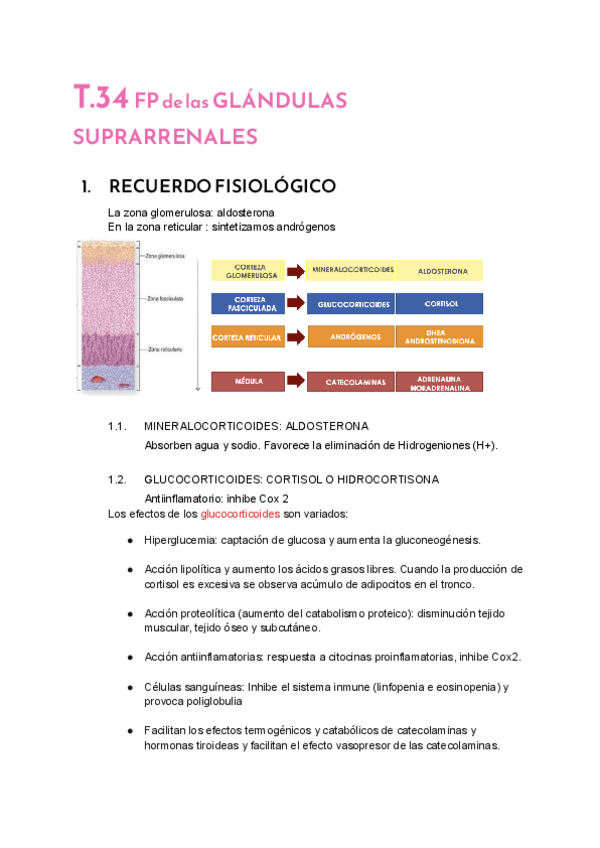 Miniatura del documento T.34-SUPRARRENALES.pdf