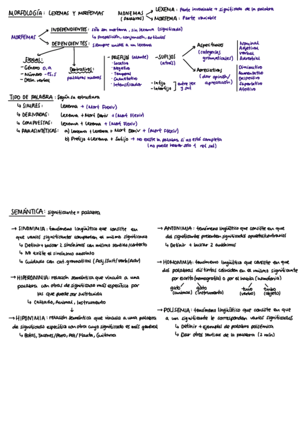 Miniatura del documento MORFOLOGIA-Y-SEMANTICA.pdf