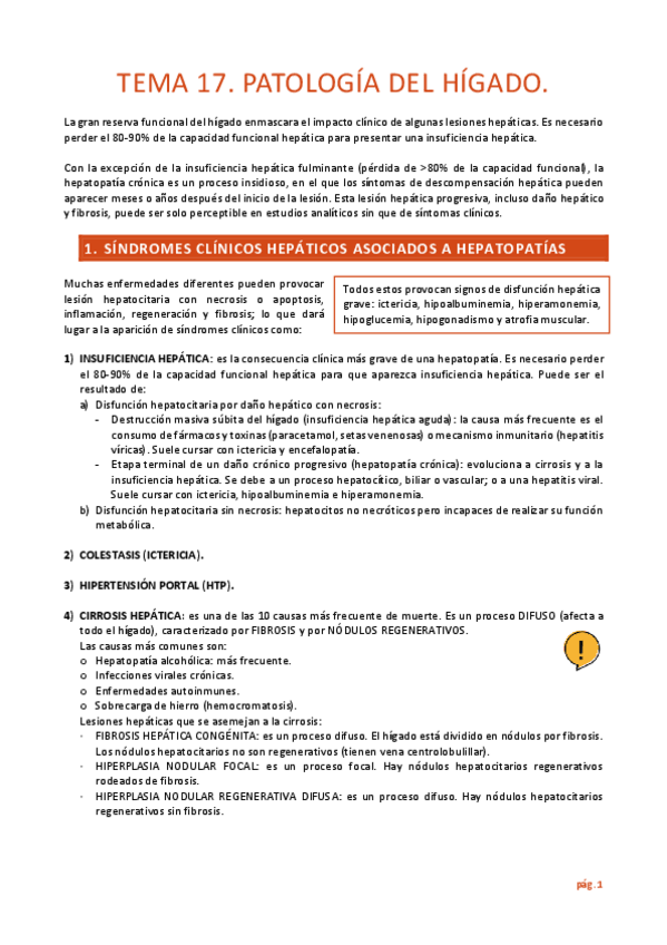 Miniatura del documento Resumen-Tema-17-Higado.pdf