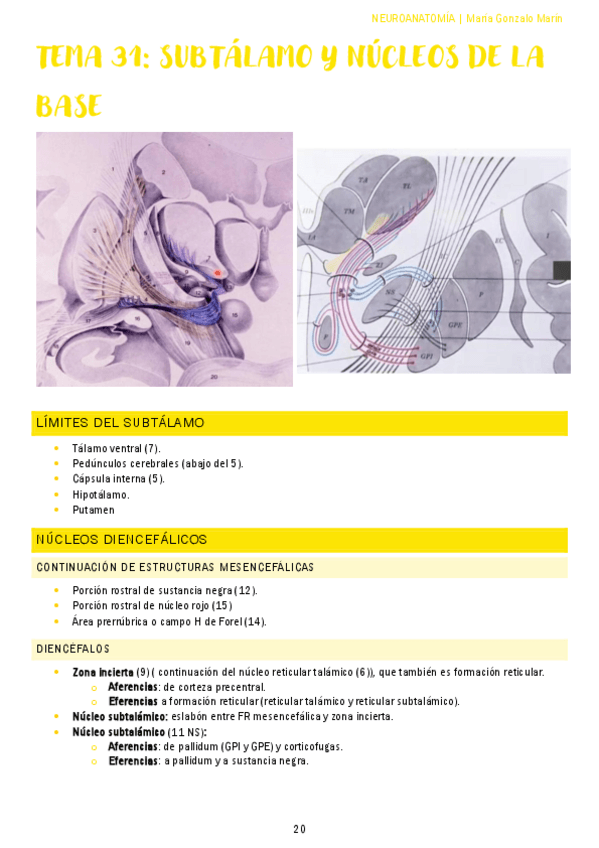 Miniatura del documento subtalamo-y-nucleos-de-la-base.pdf