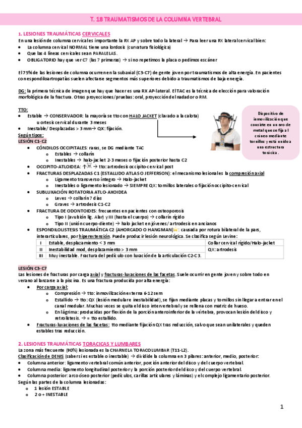 Miniatura del documento t.18-TRAUMATISMOS-DE-LA-COLUMNA-VERTEBRAL.pdf