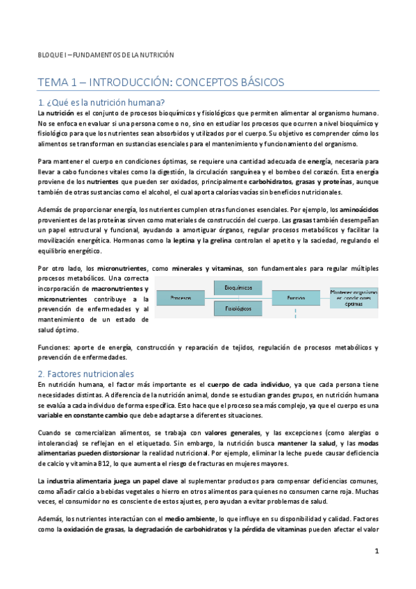 Miniatura del documento Apunts-Nutricio-humana1r-Parcial.pdf