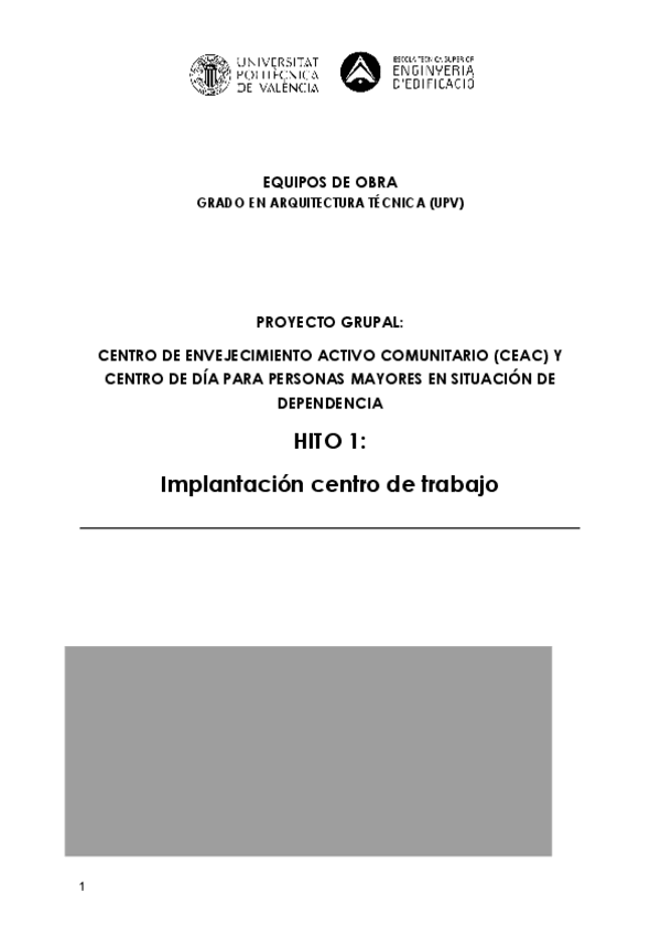Miniatura del documento HITO-1-1.pdf