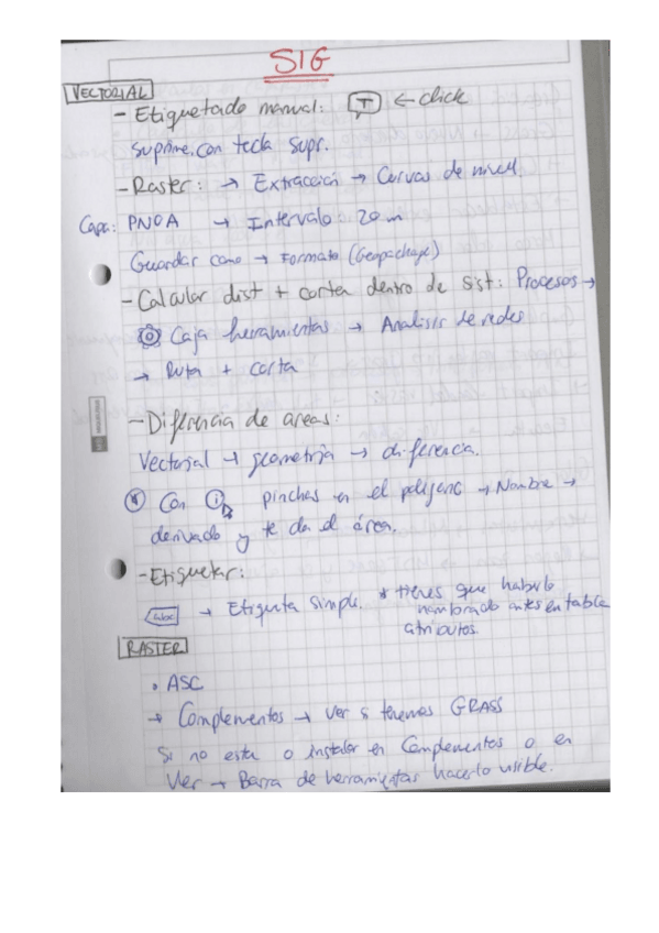 Miniatura del documento Ayuda-pasos-SIG.pdf