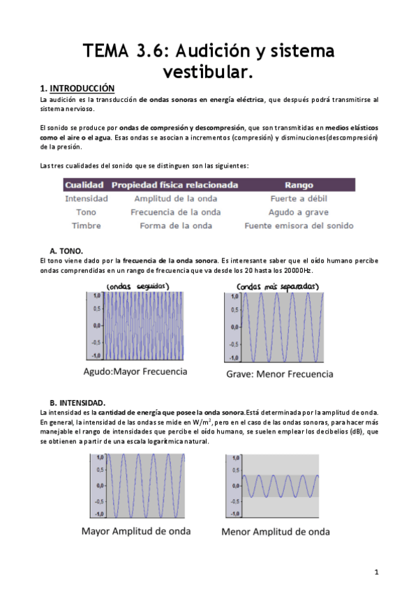 Miniatura del documento Resumen-3.6-Audicion.pdf
