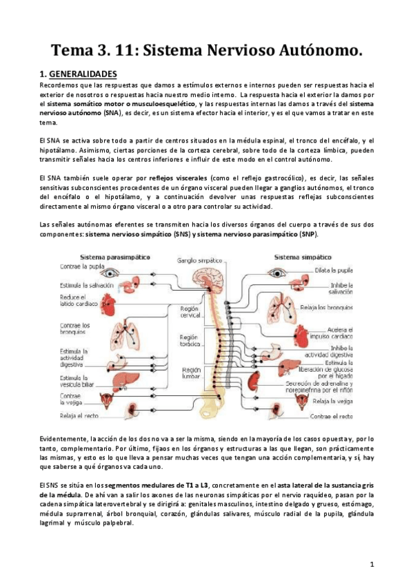 Miniatura del documento Resumen-3.11.-SNA.pdf
