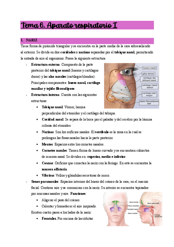 Miniatura del documento Tema-6.-Aparato-respiratorio-I.pdf