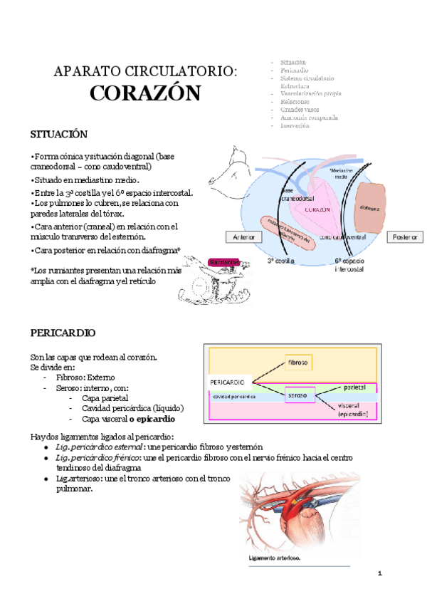 Miniatura del documento CORAZON-t.1234.pdf