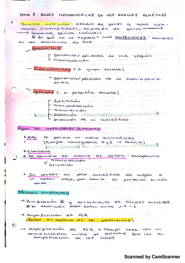 Miniatura del documento Analisis genéticos.pdf
