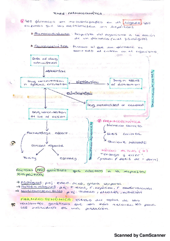 Miniatura del documento Farmacogenetica.pdf