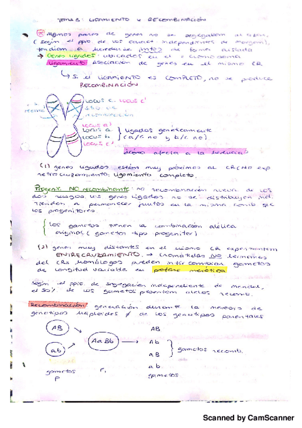 Miniatura del documento Ligamiento y recombinacion.pdf