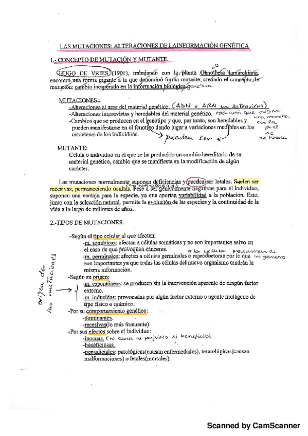 Miniatura del documento Mutaciones.pdf