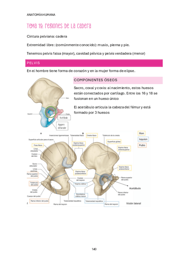 Miniatura del documento Tema-19-20.pdf