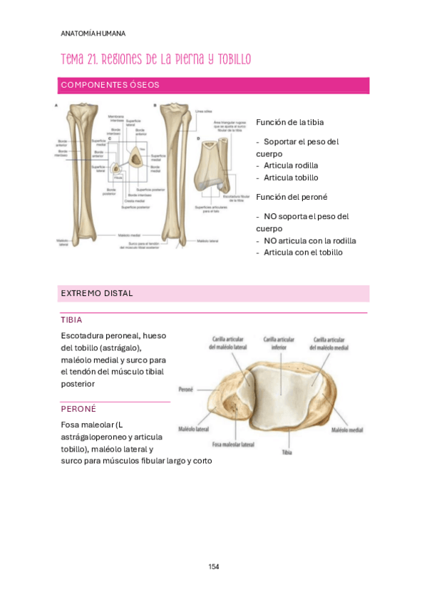 Miniatura del documento Tema-21-22.pdf
