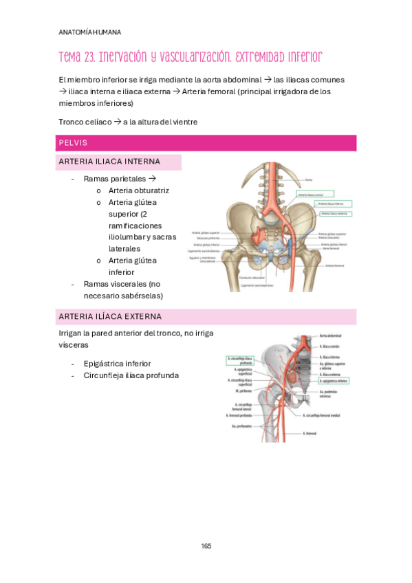Miniatura del documento Tema-23.pdf
