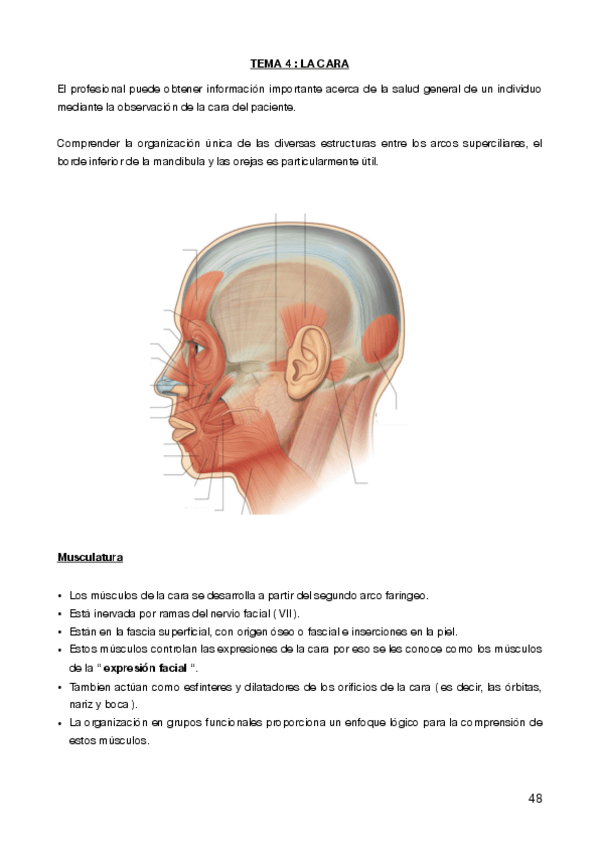 Miniatura del documento apuntes-T4-T5-PDF.pdf