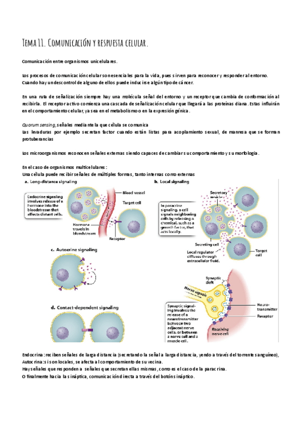 Miniatura del documento Tema-11.pdf
