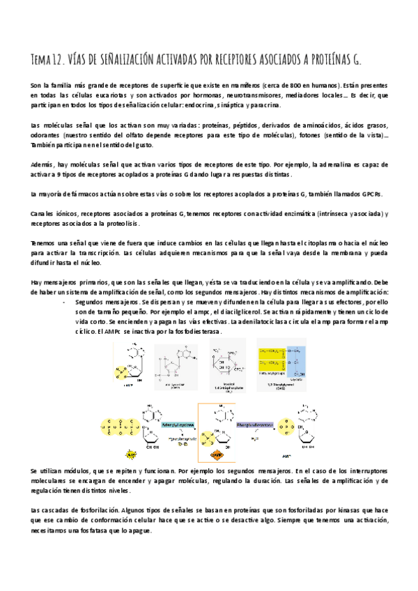 Miniatura del documento TEMA-12.pdf