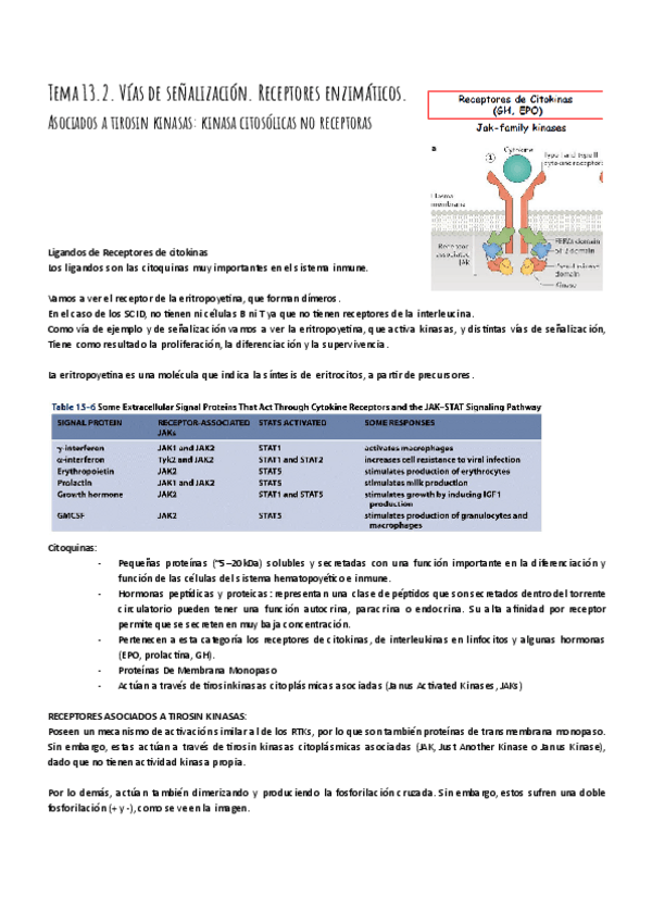 Miniatura del documento Tema-13.2.pdf