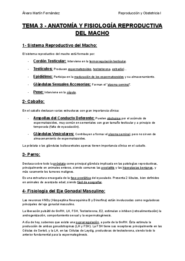 Miniatura del documento TEMA-3-ANATOMIA-Y-FISIOLOGIA-REPRODUCTIVA-DEL-MACHO.pdf