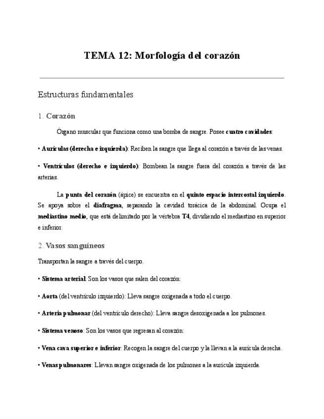 Miniatura del documento TEMA-12-Morfologia-del-corazon.pdf