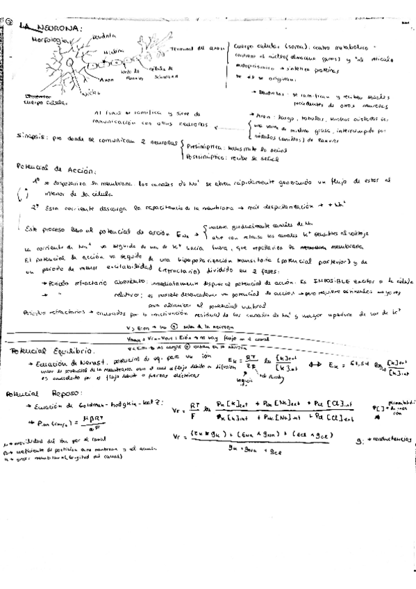 Miniatura del documento Resumen-Parte Nestor.pdf