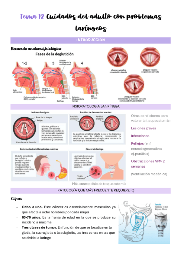 Miniatura del documento Tema-12-Cuidados-del-adulto-con-problemas-laringeos.pdf