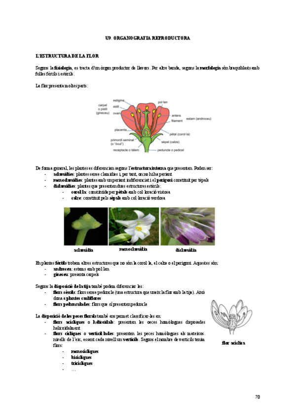 Miniatura del documento U9-botanica.pdf