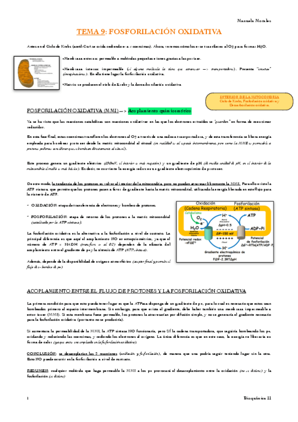 Miniatura del documento TEMA-9-BIOQUIMICA.pdf