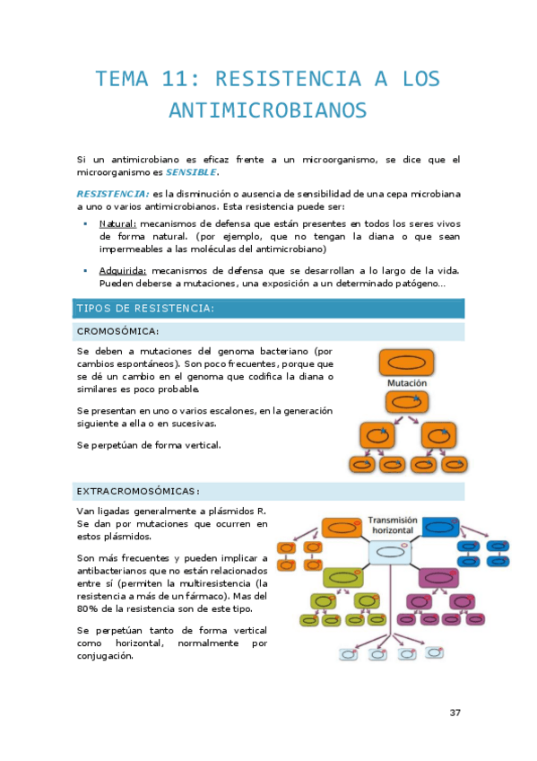 Miniatura del documento Tema-11.-Resistencia-a-los-antimicrobianos.pdf