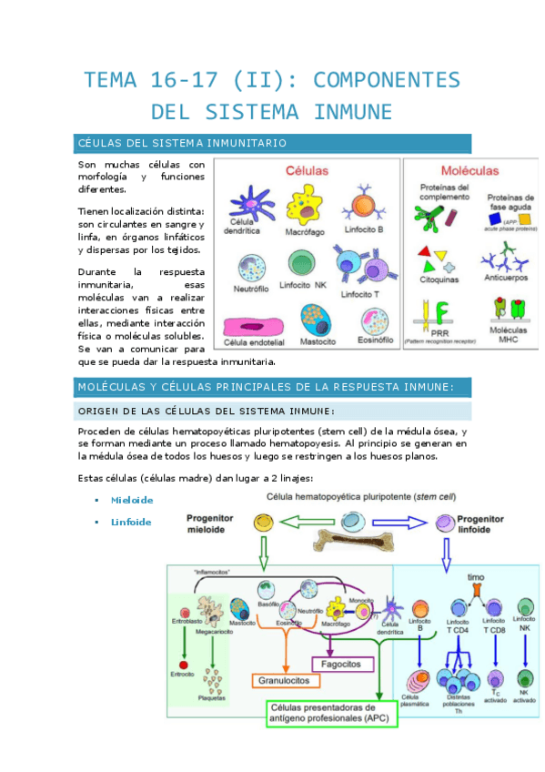 Miniatura del documento TEMA-16-17-II.-Componentes-del-sistema-inmune.pdf