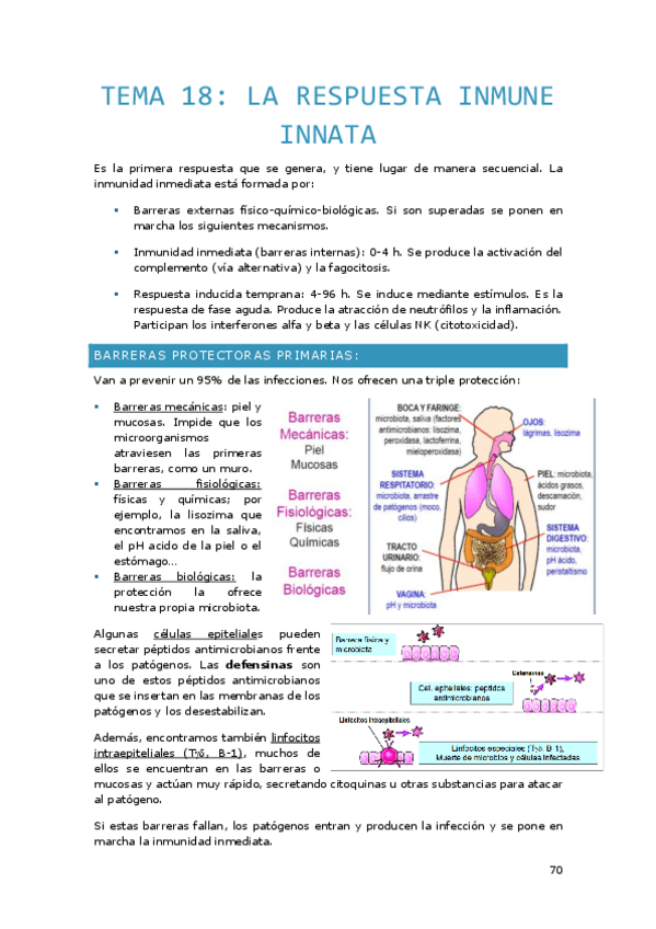 Miniatura del documento TEMA-18.-Respuesta-inmune-innata.pdf