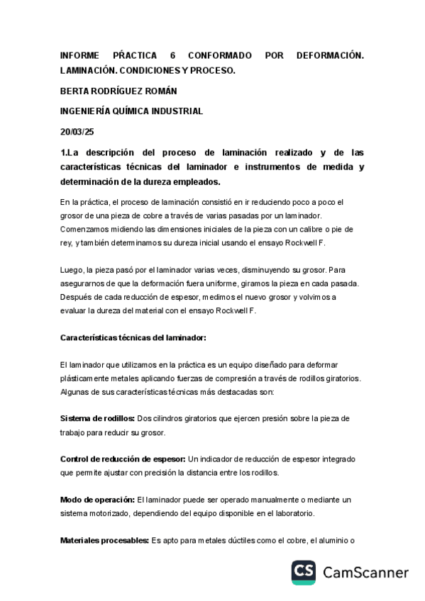 Miniatura del documento DOC-20250331-WA0009..pdf