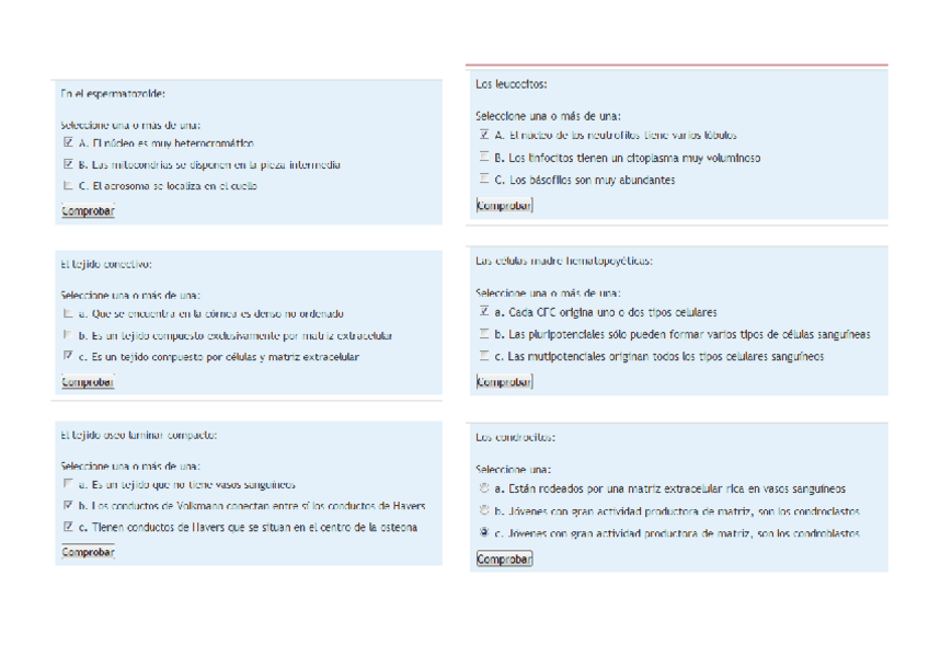 Miniatura del documento cuesionario 1.pdf