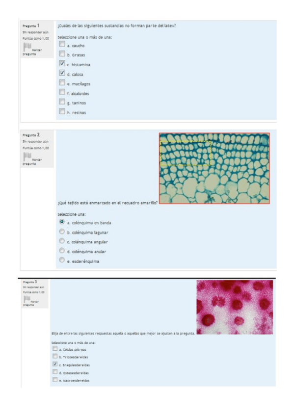 Miniatura del documento cuestionario2.pdf