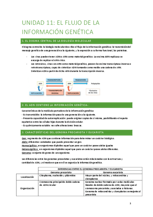 Miniatura del documento El-flujo-de-la-informacion-genetica.pdf