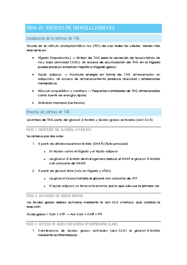 Miniatura del documento Tema 20: Síntesis de triacilgliceroles.pdf