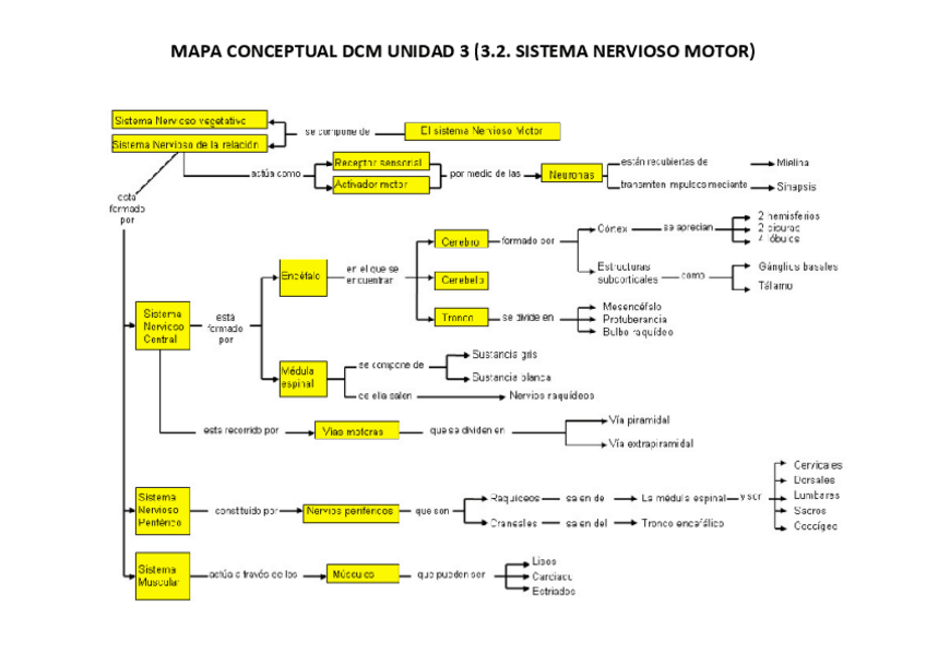 Miniatura del documento Mapa-conceptual-Sistema-nervioso.pdf