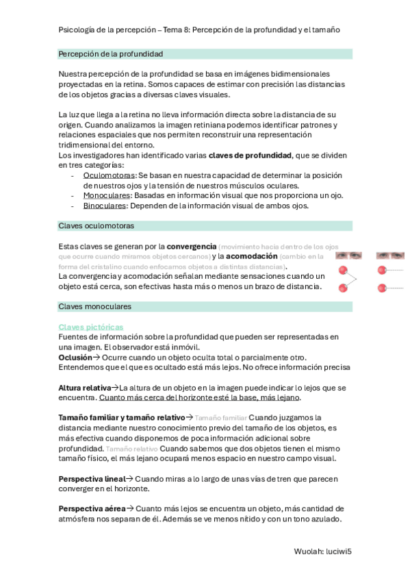 Miniatura del documento T.8-P.-Percepcion.pdf