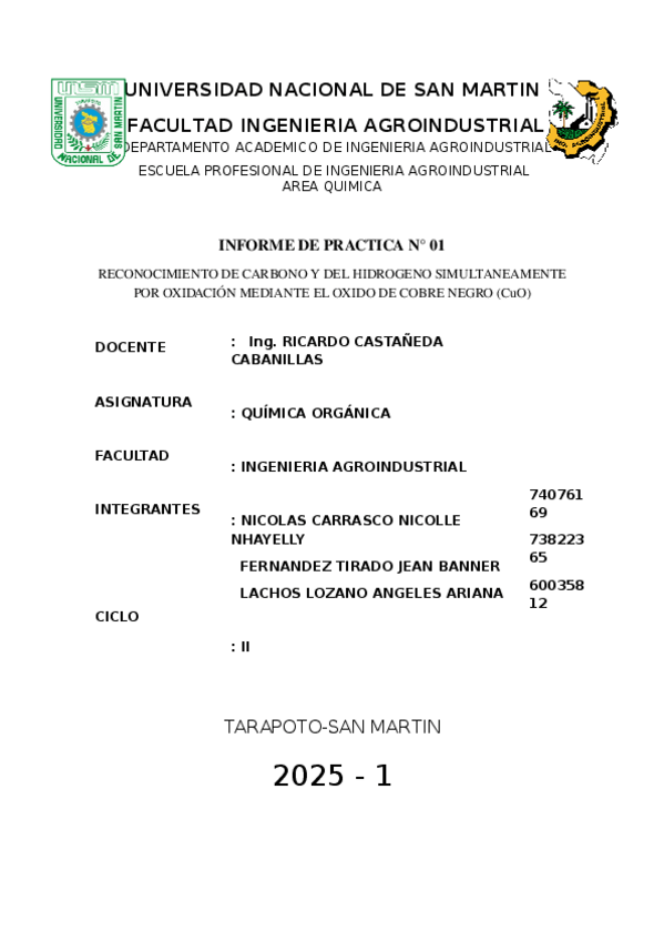 Miniatura del documento PRACTICA-DE-LABORATORIO-N1.docx