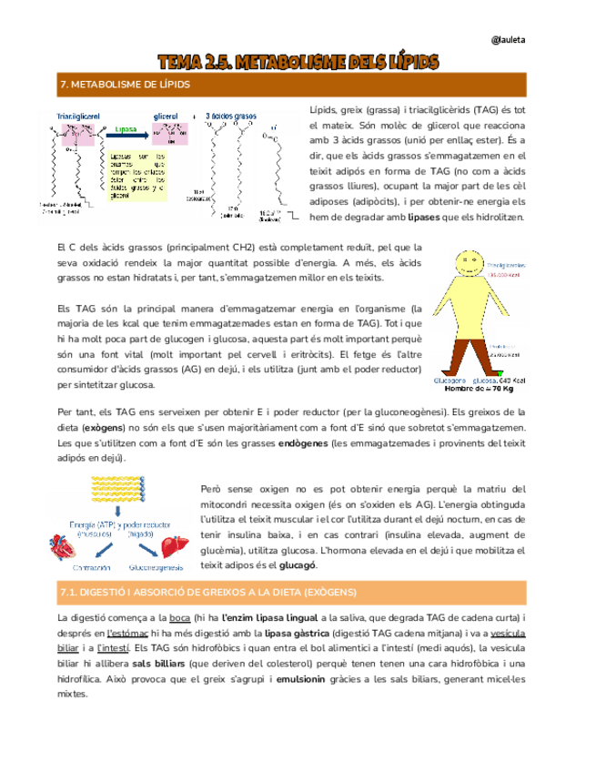Miniatura del documento Tema-2.5-Nutri.pdf