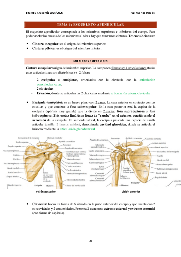 Miniatura del documento Anatomia-tema-6-esqueleto-apendicular.pdf