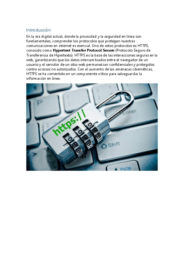 Miniatura del documento HTTPS-HACKING-ETICO.pdf