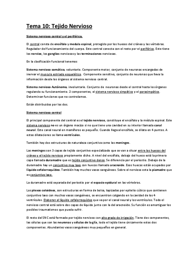 Miniatura del documento Tema-10-Tejido-Nervioso.pdf