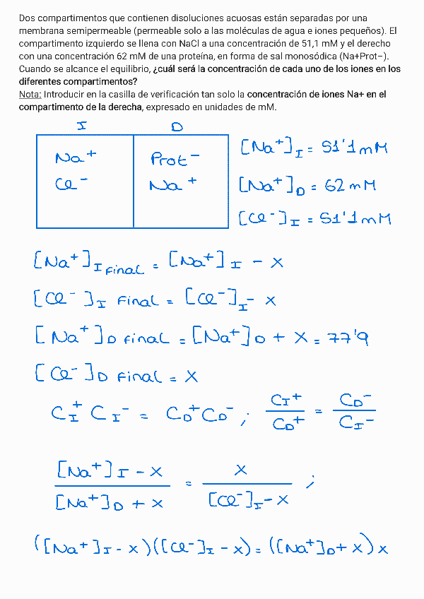 Miniatura del documento PROBLEMA-EFECTO-DONNAN.pdf