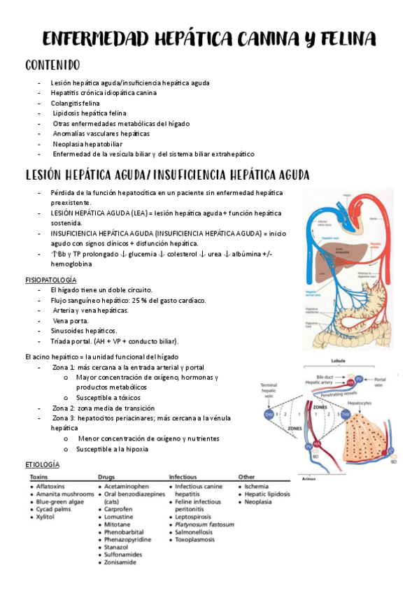 Miniatura del documento ENFERMEDAD-HEPATICA-CANINA-Y-FELINA.pdf